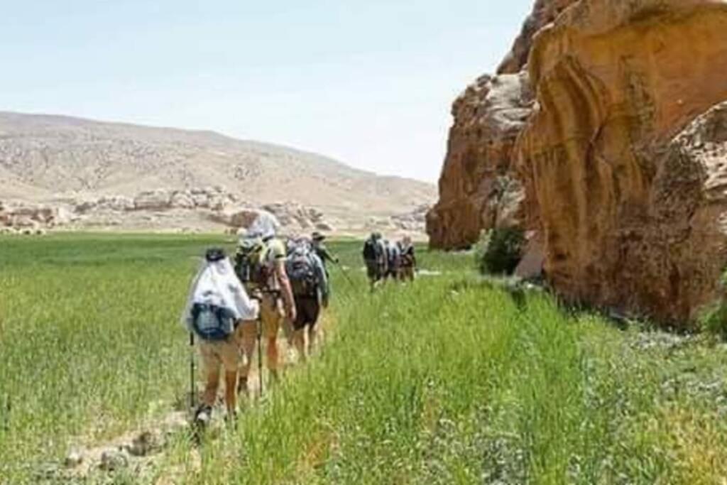 Bedouin Nature Travels Wadi Musa Exteriér fotografie