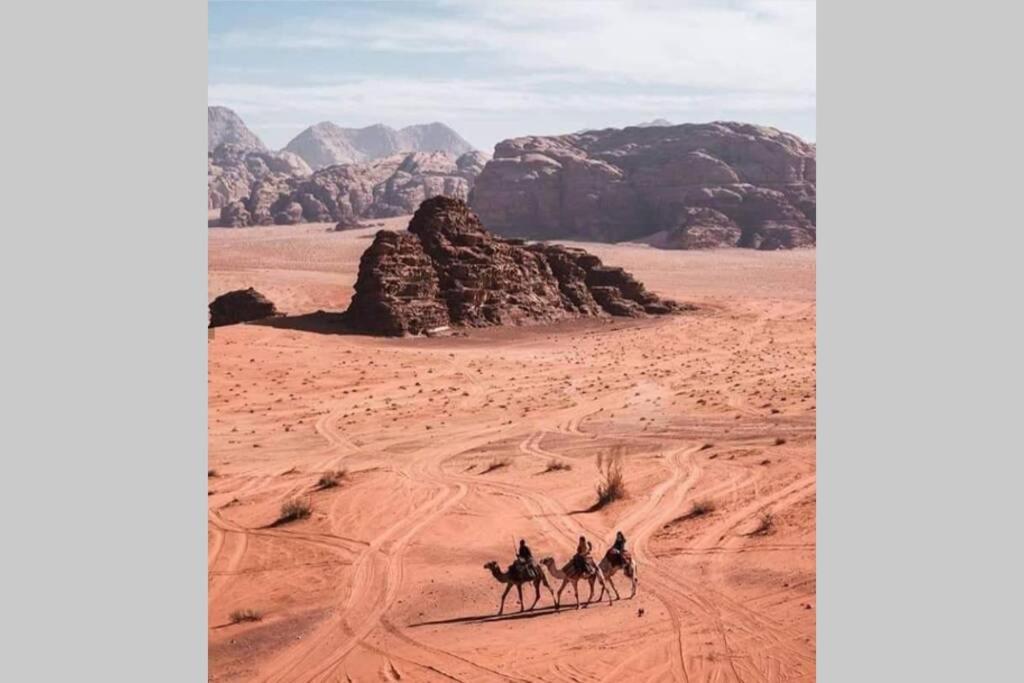Bedouin Nature Travels Wadi Musa Exteriér fotografie