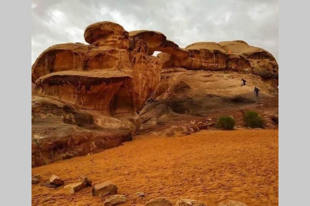 Bedouin Nature Travels Wadi Musa Exteriér fotografie