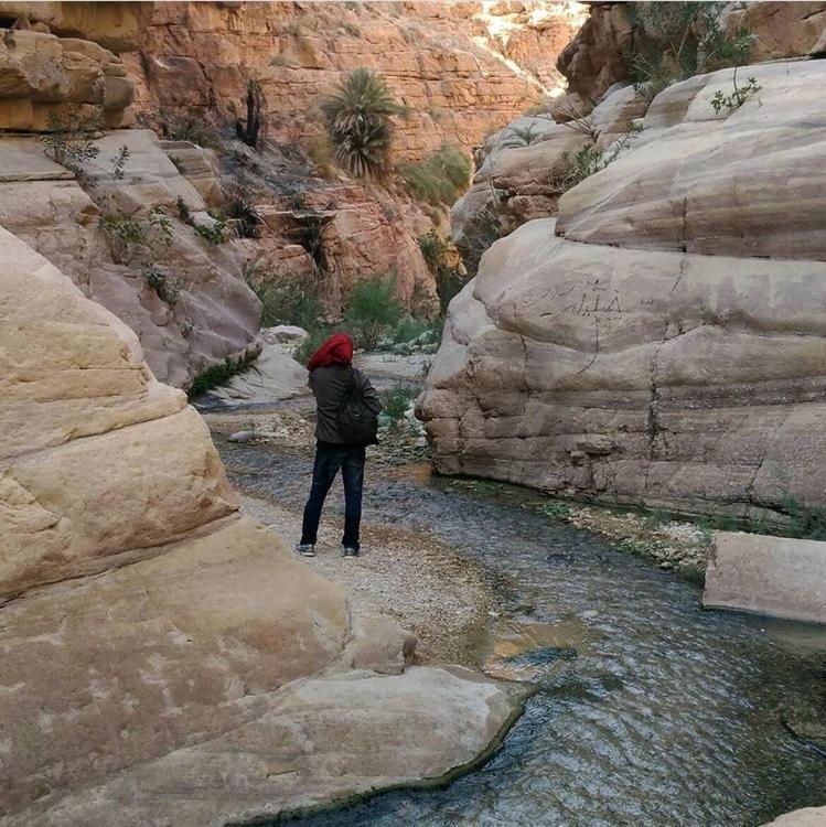 Bedouin Nature Travels Wadi Musa Exteriér fotografie
